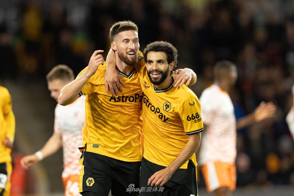 的单打能力 的单打能力