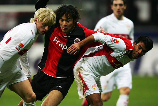 他们强大的 他们强大的